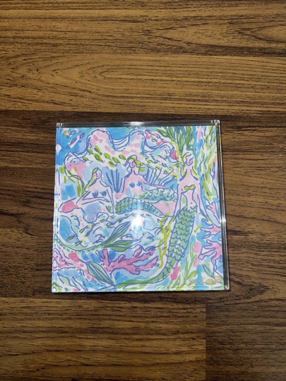 Lilly Pulitzer Acrylic photo frame art